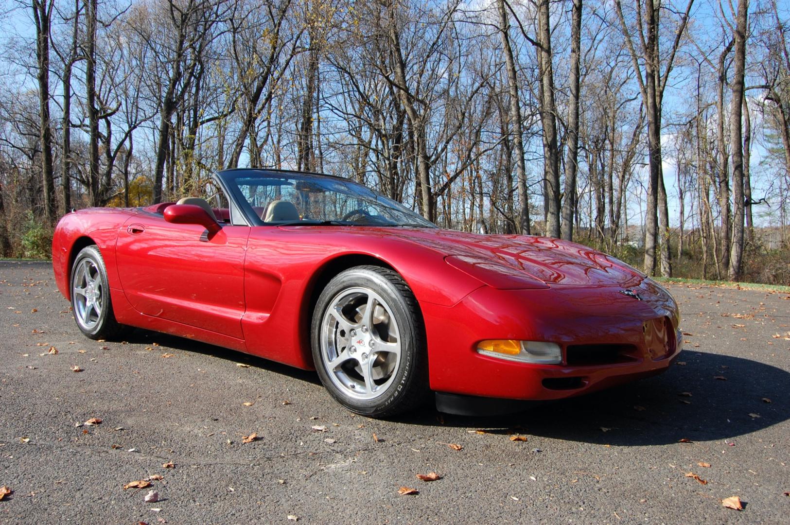 1998 Burgundy /Beige Leather Chevrolet Corvette (1G1YY32G9W5) with an 5.7 liter V8 engine, Automatic transmission, located at 6528 Lower York Road, New Hope, PA, 18938, (215) 862-9555, 40.358707, -74.977882 - Photo#18